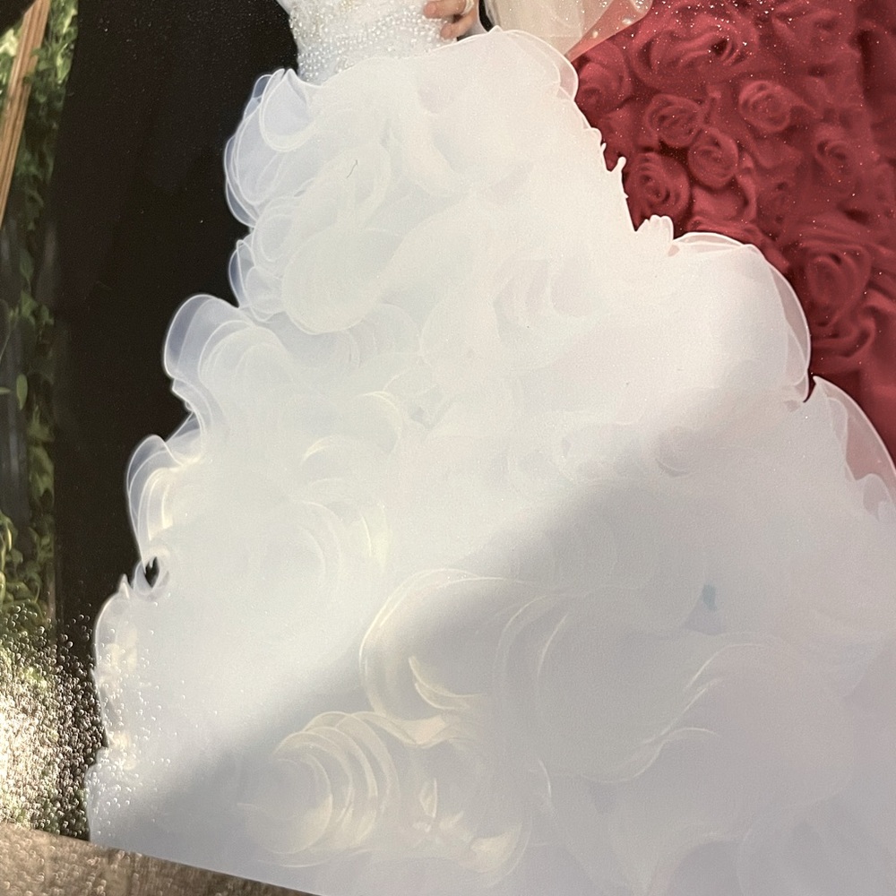 Alexander Justin bridal gown